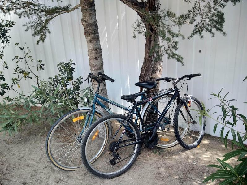 Maison Jardin Wifi - Climatisation - 100 M Plage Sauvage - 20 Min Perpignan Torreilles Zewnętrze zdjęcie